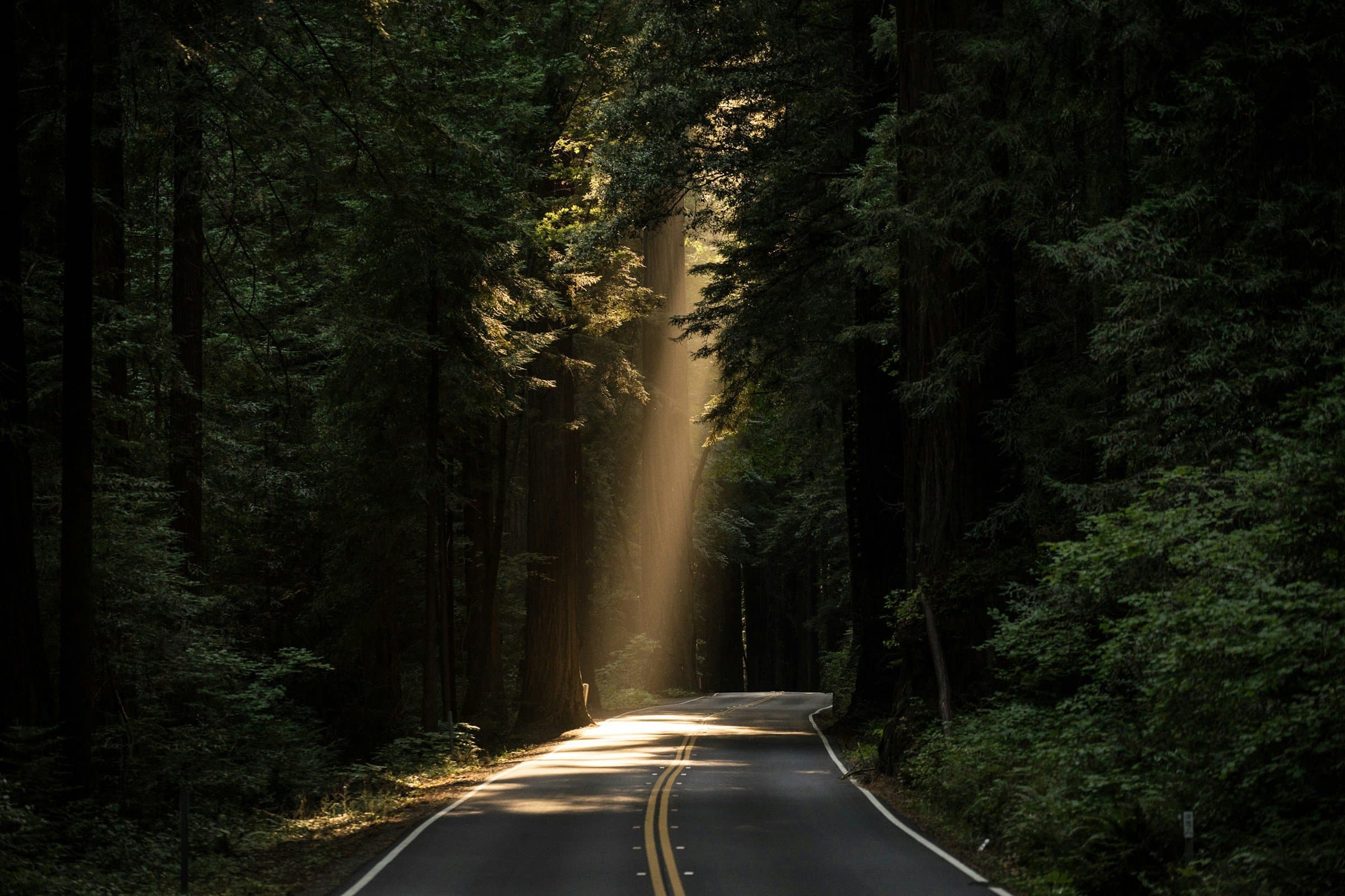 The Romans Road